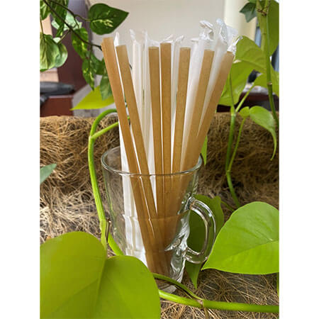 Straw Biodegradable - PLA Single use -02 